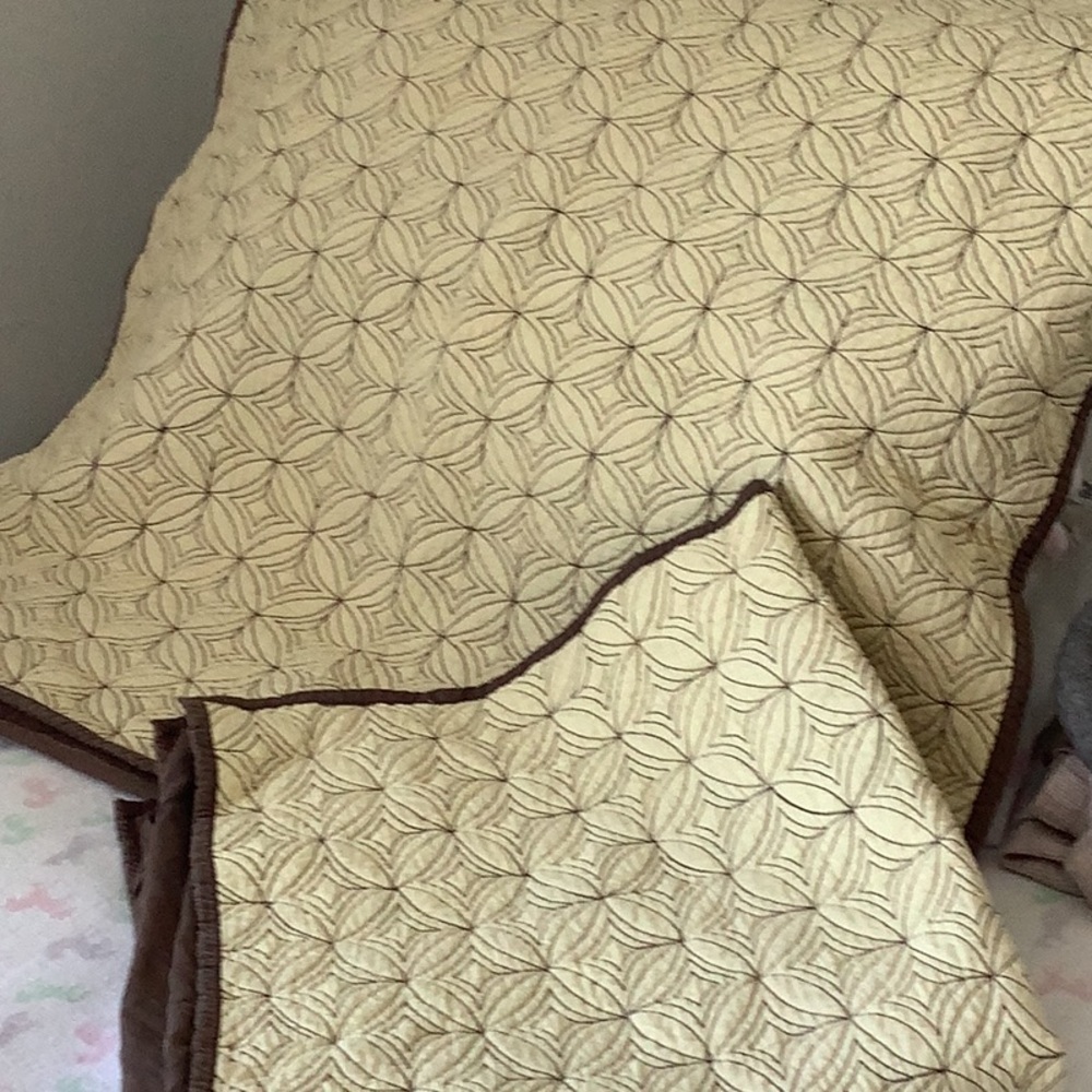 Restoration Hardware Purple Quilted Throw and Brown Pillow Cover